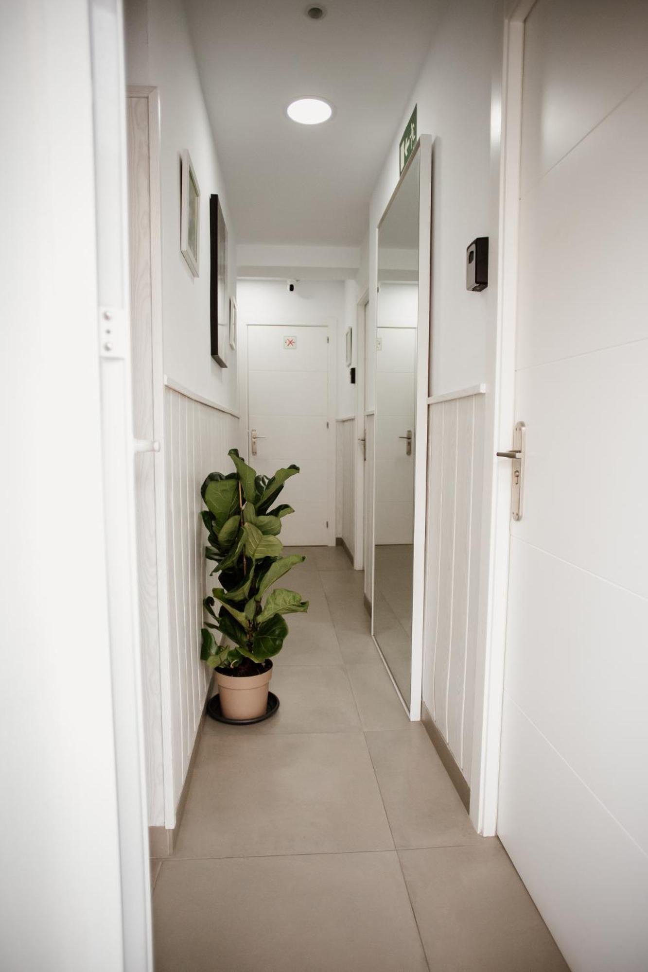 Apartamentos Turisticos Mastil 16 مالقة المظهر الخارجي الصورة